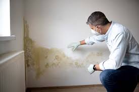 Why You Should Choose Our Mold Remediation Services in (206) 803-13630